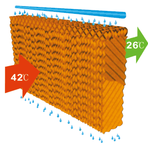 Super Cooler Evaporation Techniques